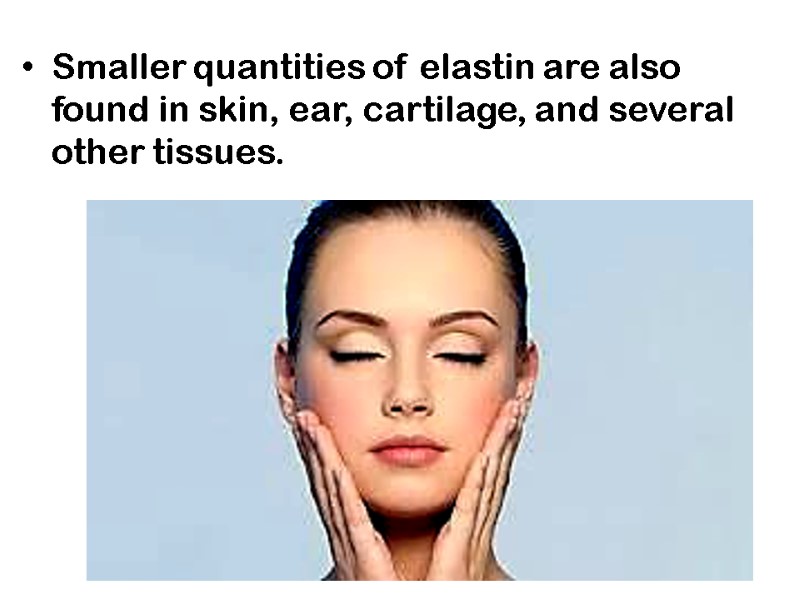 Smaller quantities of elastin are also found in skin, ear, cartilage, and several other